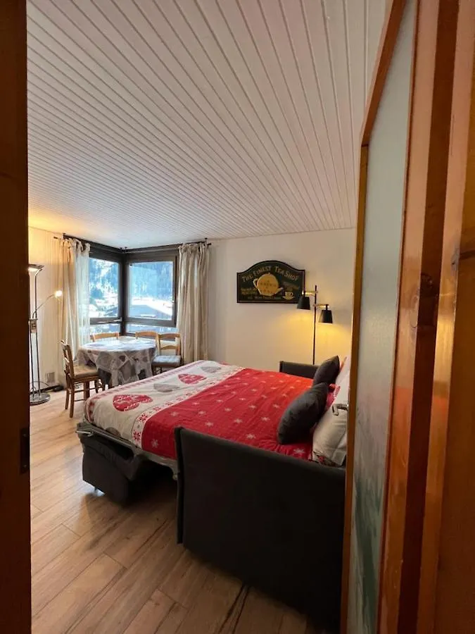 Apartment Studio Dent Du Caiman, Chamonix Hyper Centre, Parking, Vue Mont Blanc
